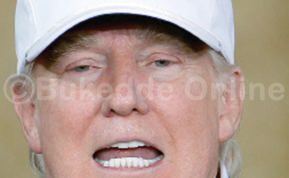 Trump Trump