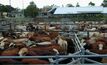 Indonesia abattoirs removed from approved list