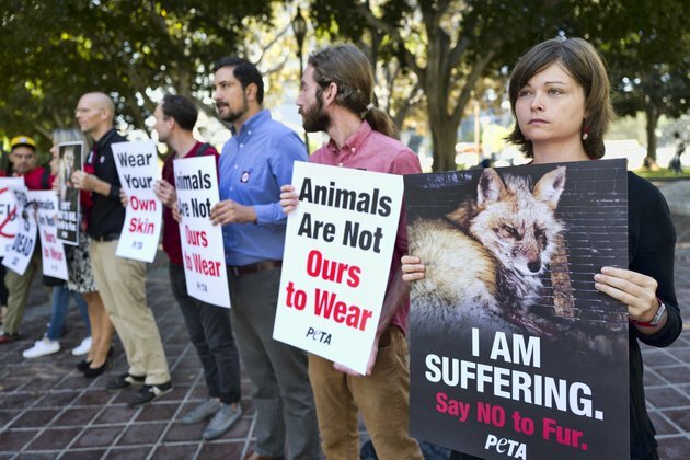 California Becomes First US State to Ban Fur Products