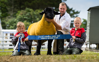 Foxhill Princess Carina takes the crown at Royal Cornwall  