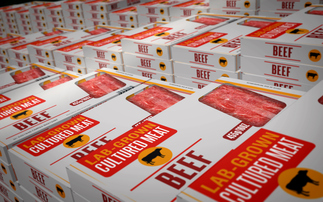 'Clarity for businesses': Food Standards Agency publishes safety guidance for lab-grown meats