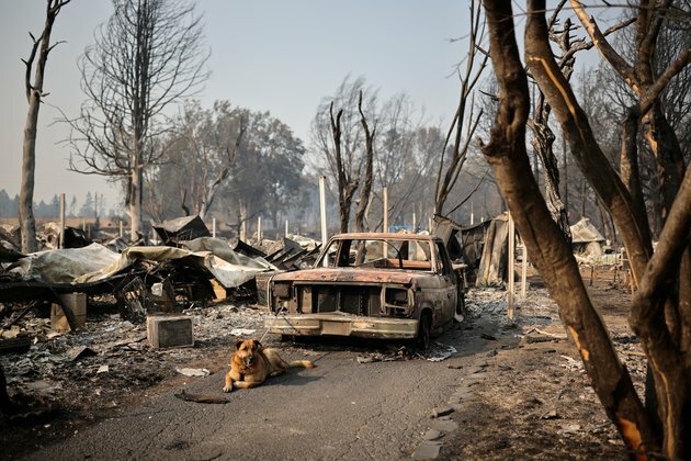 Oregon Governor Seeks More Federal Help as Wildfires Burn