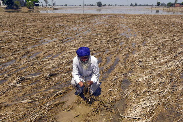 Mixed rainfall in India's agri regions, floods and deficits, raise food inflation risk: Report
