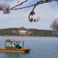 (EcoChina)CHINA-BEIJING-SPRING-BLOSSOMS(CN)