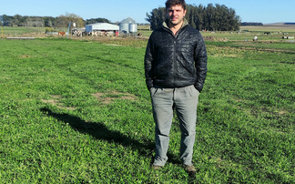 Argentinian dairy farm embraces automation and sees positive impact