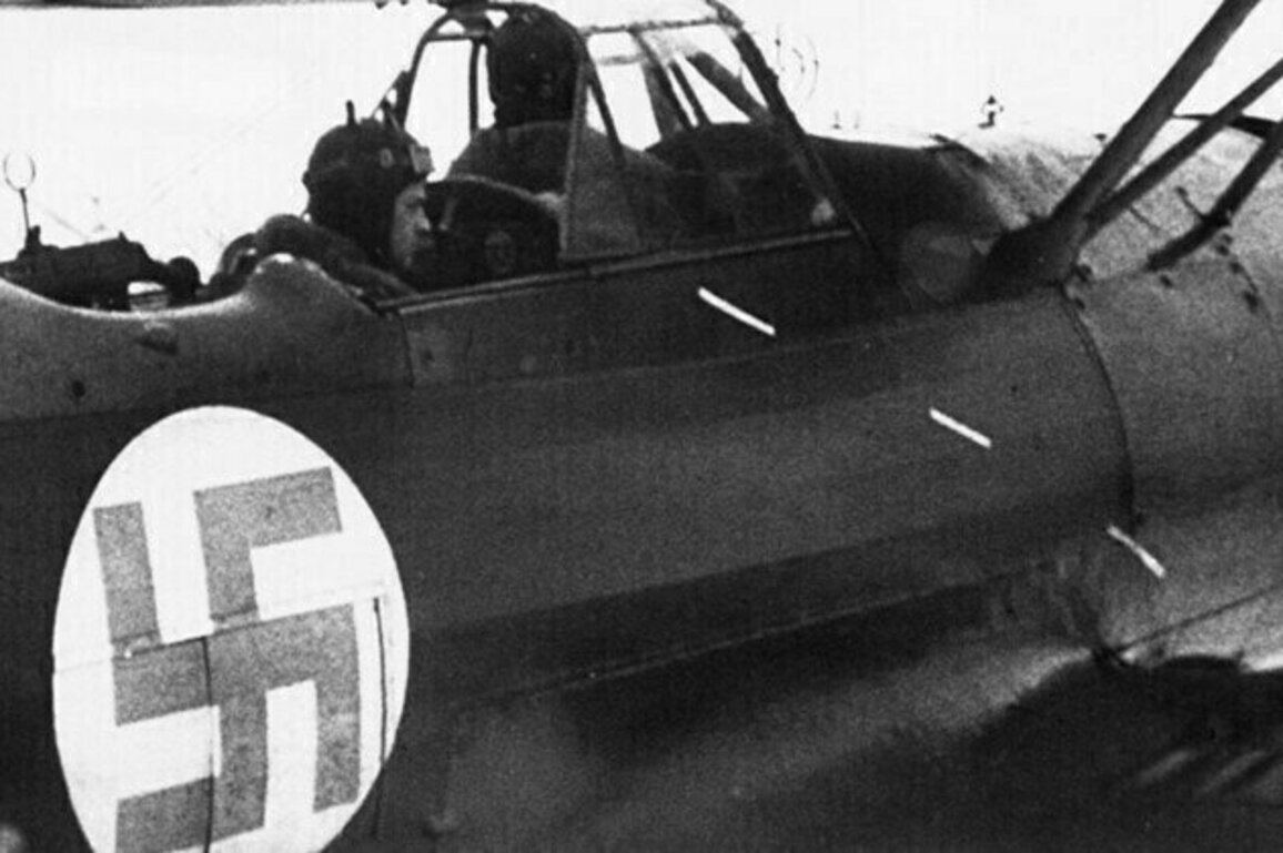 NATO country to scrap swastika  media