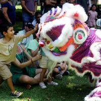 Feature: Chinese New Year infuses Latin America with festive cheer