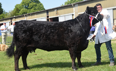 Galloway claims supreme beef championship at South of England | Farm News