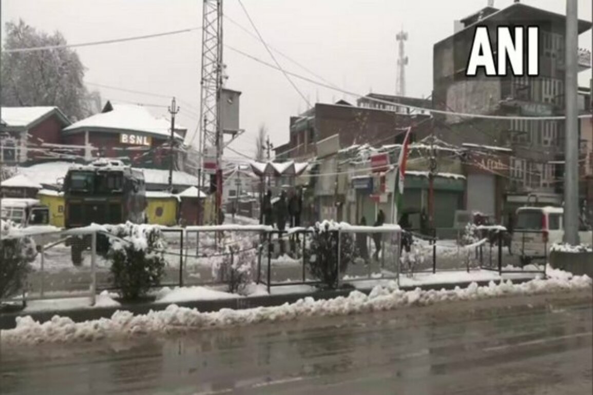Skating ring turf setup in Srinagar for budding players
