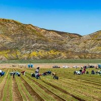 Hotter and drier climate in Colorado's San Luis Valley contributes to kidney disease in agriculture workers, new study shows