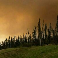 Wildfire smoke can harm your brain, not just your lungs