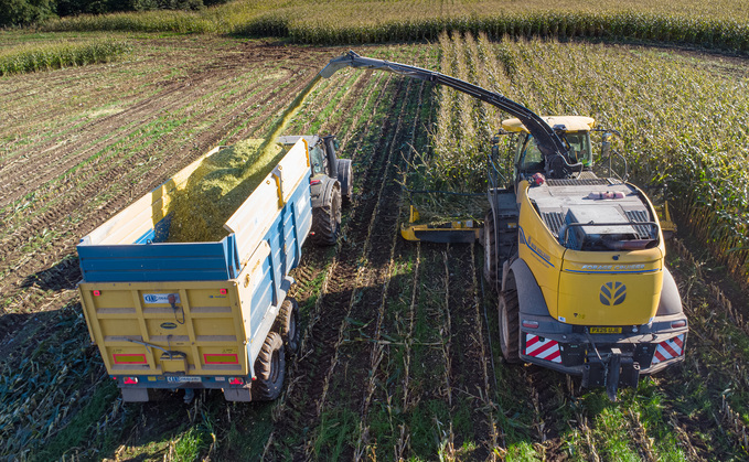 One principle is to work backwards from the farm's harvest