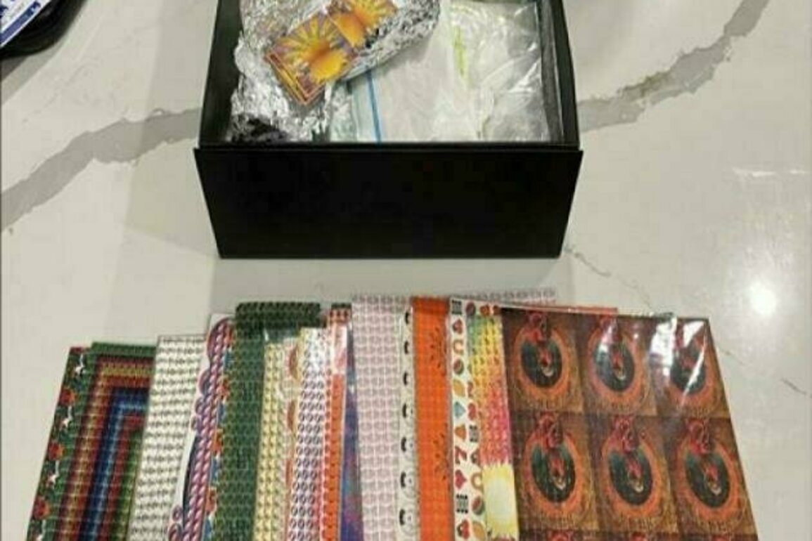 Cocaine investigation uncovers largest ever LSD seizure