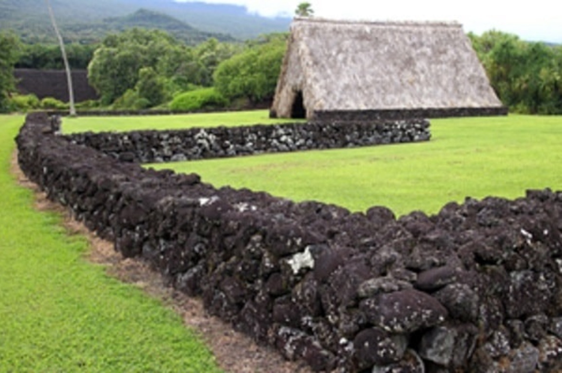 Kirstin Downey- Caring For The ina From Thousands Of Miles Away - Honolulu Civil Beat