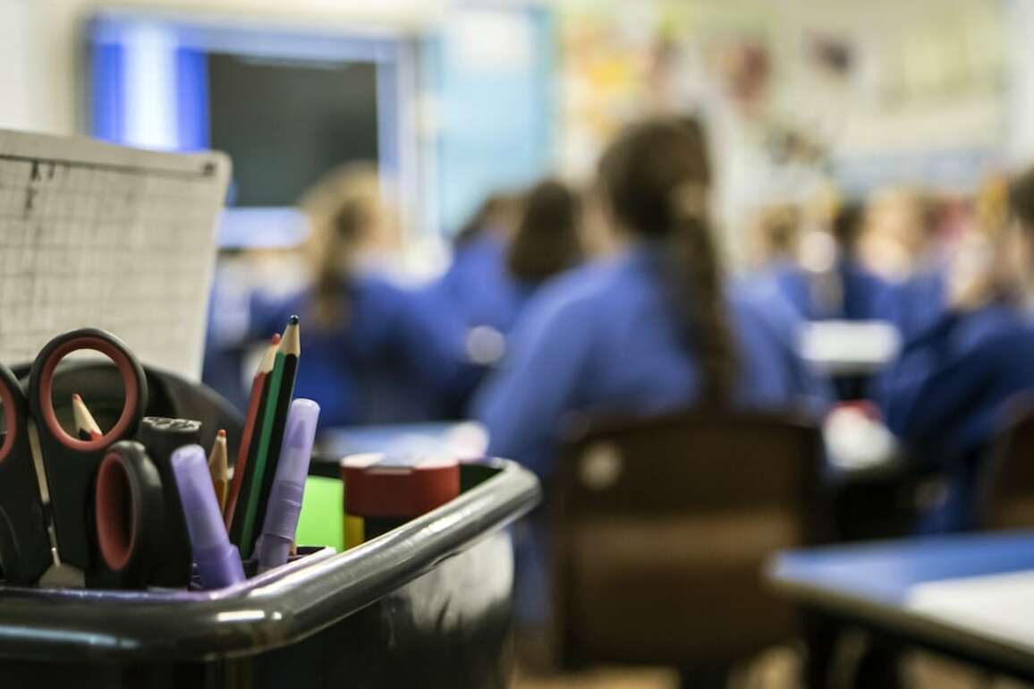 Teacher training to include mandatory placements in special education   The Irish Times