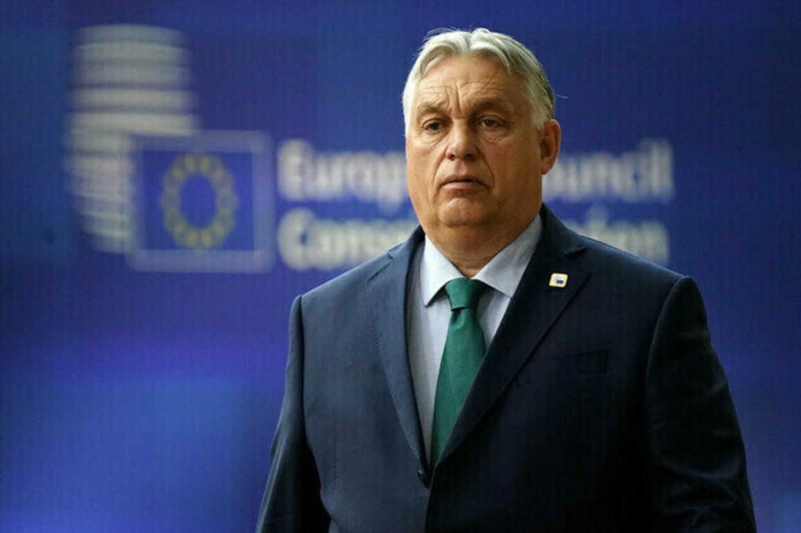 EU interfering in Hungarys domestic politics  Orban