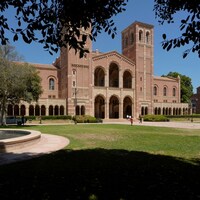 UCLA equity director shows ugly side of DEI