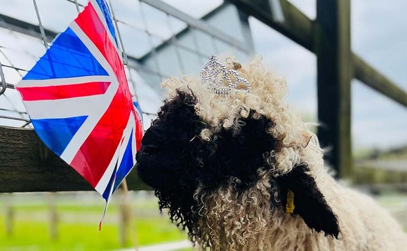 King Charles champions British lamb