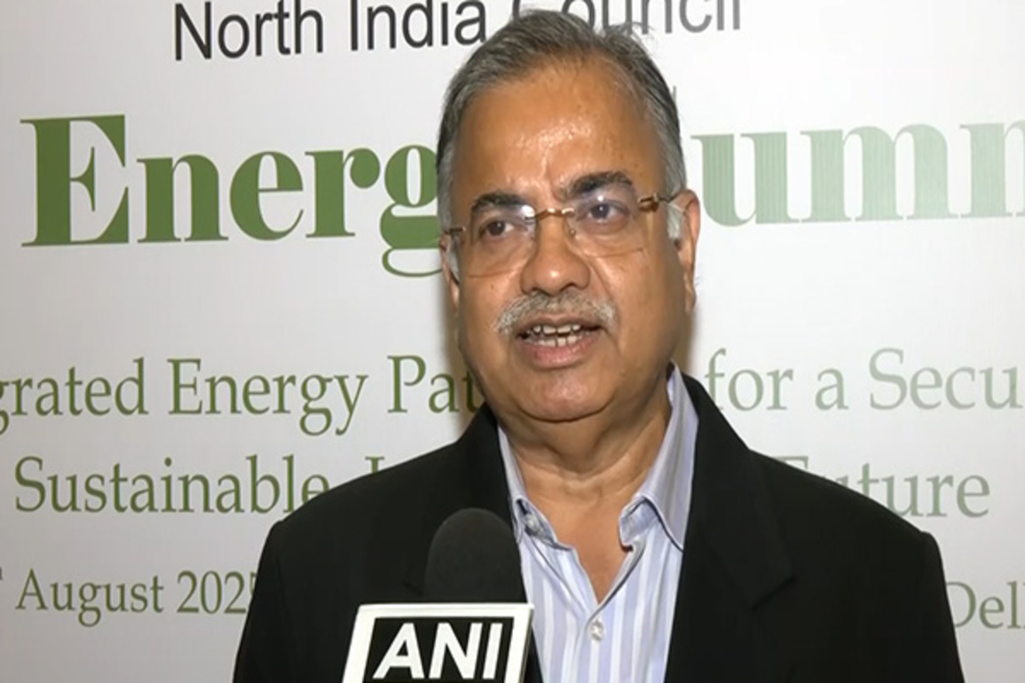 Public and private sectors need to join forces for India's critical mineral independence