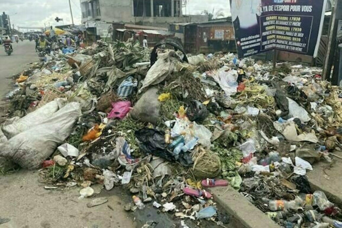 Gestion des dechets au Cameroun : d'autres solutions existent