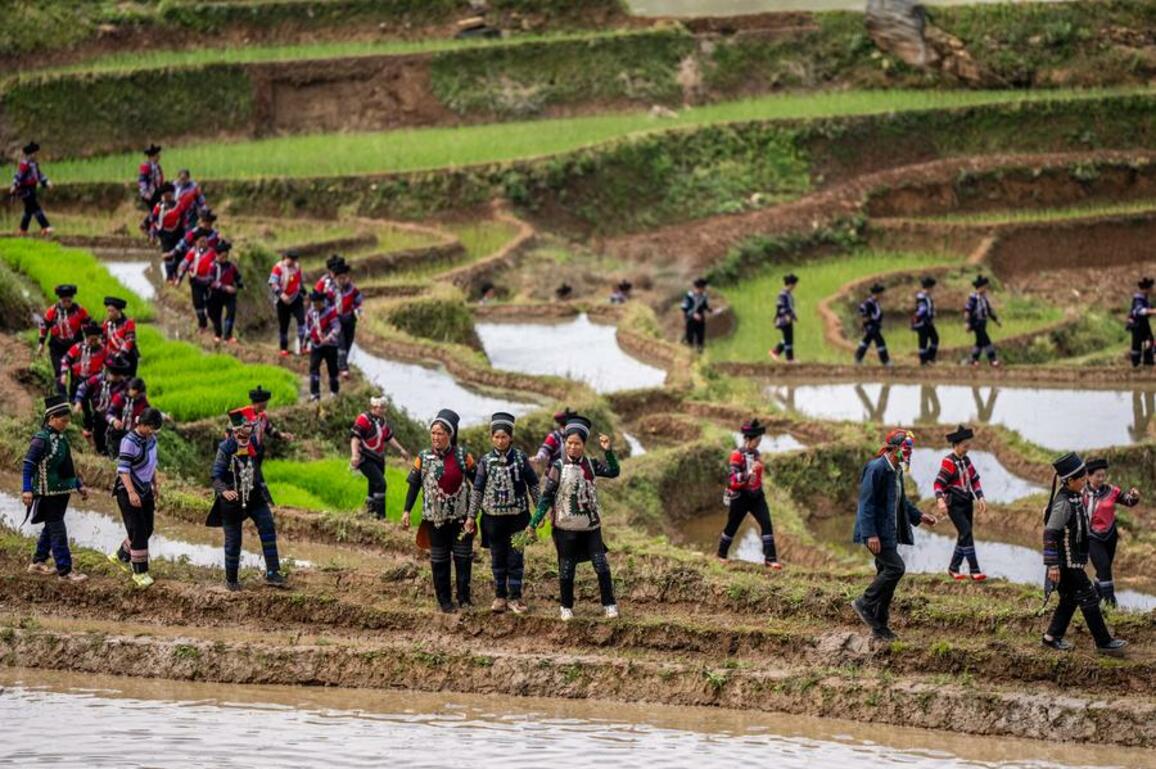As rural creativity flourishes, China's countryside finds its own distinctive voice