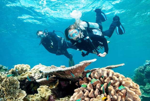 24 million euro for marine life in border counties, Northern Ireland