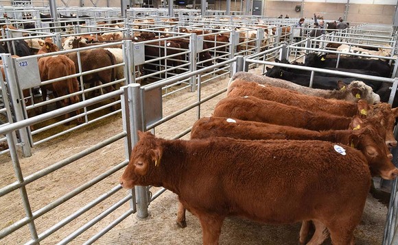 Melton Mowbray Martket thriving in town centre