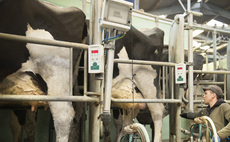The importance of people management in dairy farming
