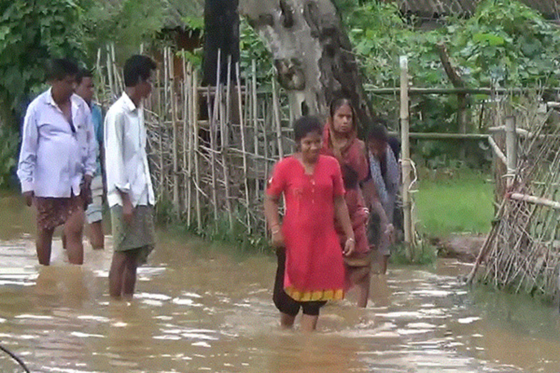 Odisha: Heavy rainfall triggers severe waterlogging in Mayurbhanj; over 1,000 affected