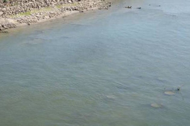Sunken Nazi warships resurface in Europe amid record heatwave (PHOTOS)