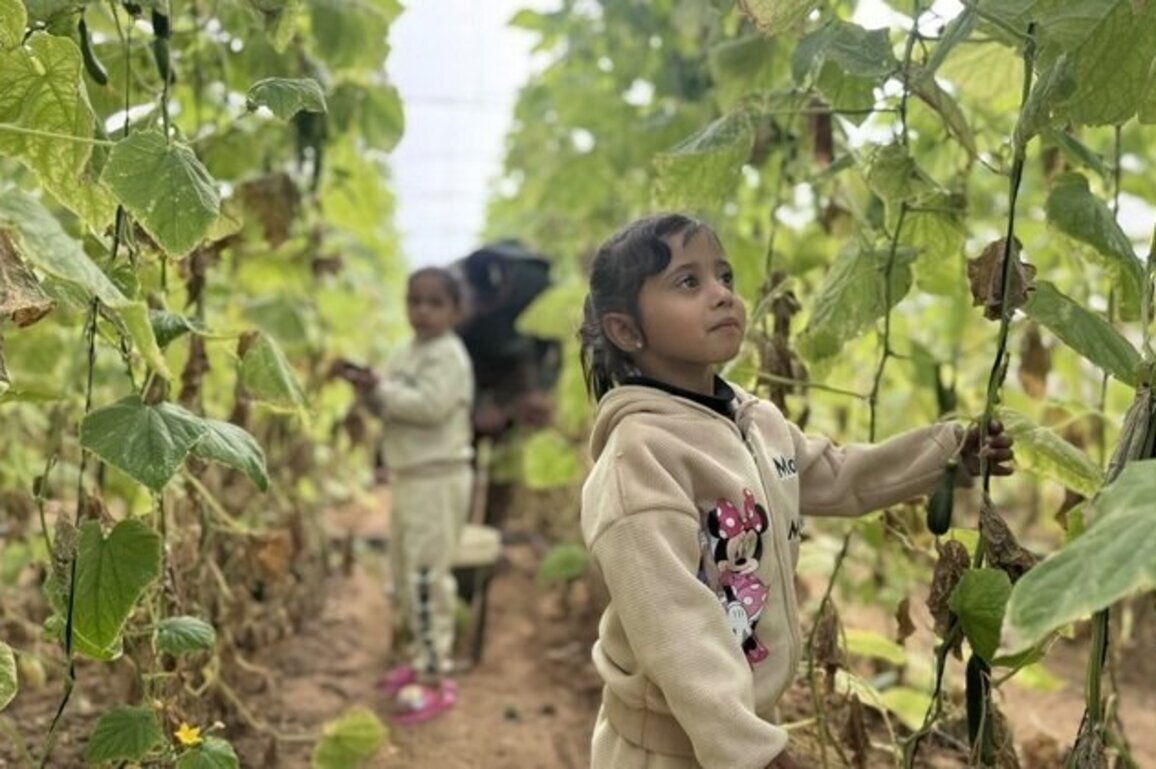 TBHF builds livelihoods while protecting planet