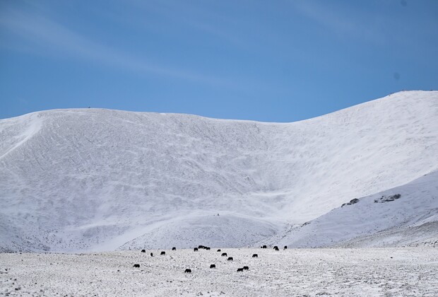 CHINA-QINGHAI-GOLOG-SNOW SCENERY (CN)