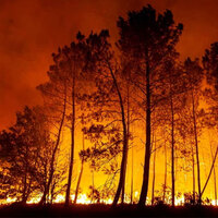 Wildfires drive global air pollution, WMO warns of rising health risks