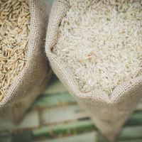 DGFT exempts certificate of inspection for export of basmati, non-basmati rice to Europe except UK