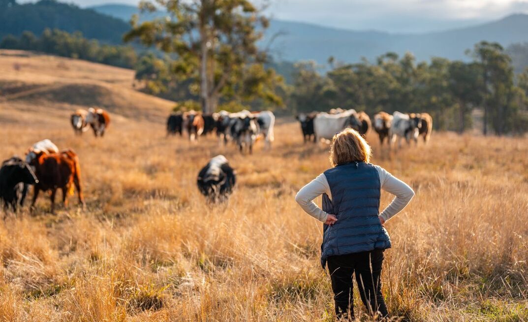 Rural health experts say the Federal Budget lacked targeted measures to address healthcare challenges in regional communities.