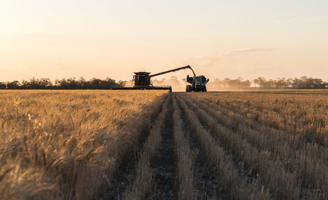 Bendigo Bank has estimated this season's national winter crop production at 54.6mt.