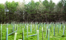 How the UK is set for a tree planting shortfall the size of Portsmouth by 2030