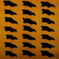 Colossal Bioscience's attempt to de-extinct the dire wolf is a dangerously deceptive publicity stunt