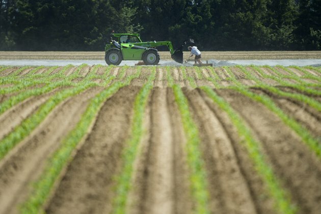 100 days of coronavirus has sent shock waves through the food system