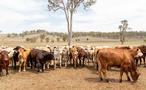 Aussie refusal to sign climate pledge sparks calls for UK farmers not to be disadvantaged