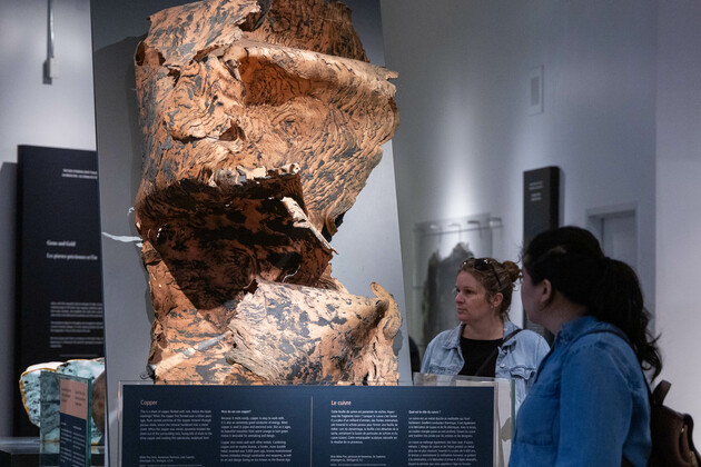 CANADA-TORONTO-INT'L MUSEUM DAY-ROYAL ONTARIO MUSEUM