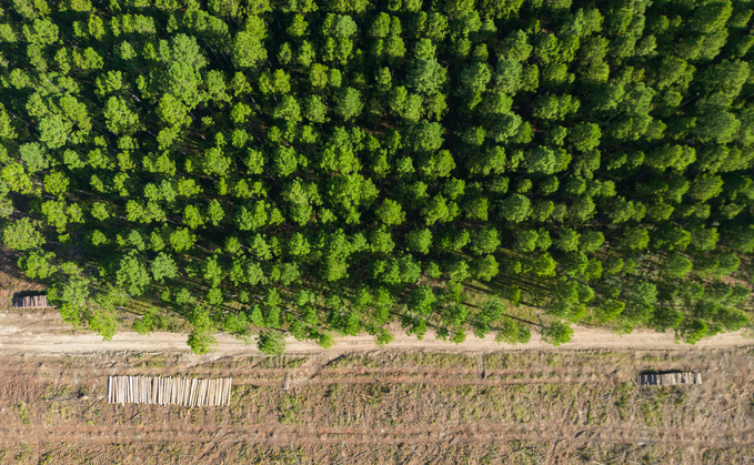 Deforestation not considered by many when approaching investments