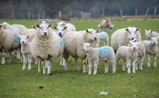 Welsh Minister accused of pushing 'simplistic' message on meat consumption