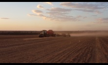 Strong grain prices and good early season rain could see another record year of area sown to crop in WA..