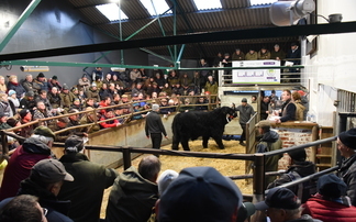 Future is bright for Farmers Marts