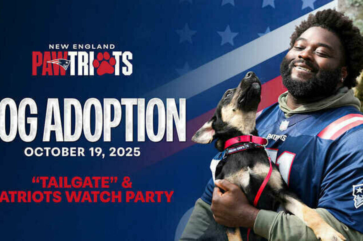 New England Patriots Foundation to Host Dog Adoption Event