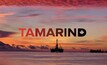 Greenpeace smashes oil sector over Tamarind NZ failure 