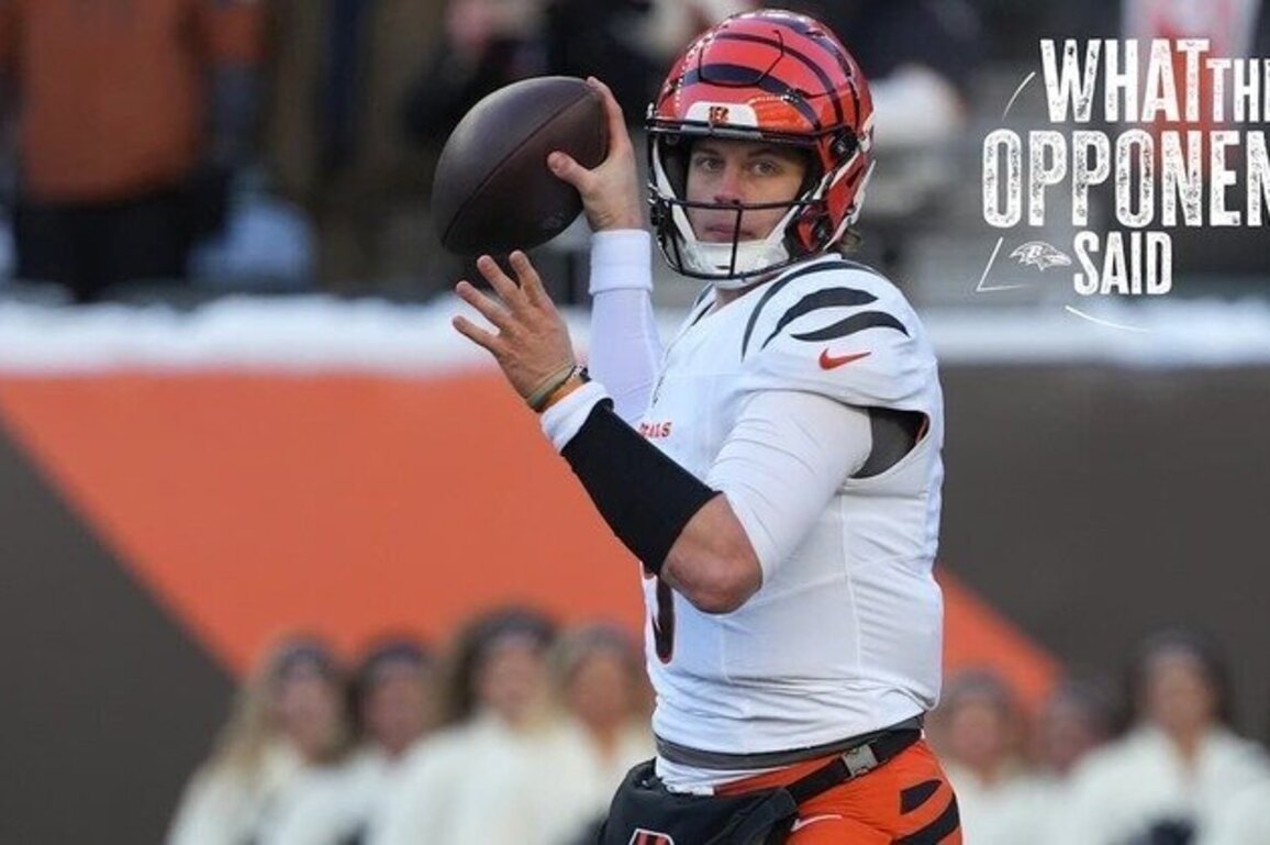 What the Bengals Said After Getting Shut Out by the Ravens