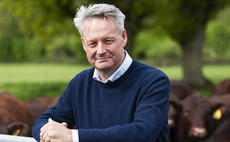 Farmers frustrated by 8p Christmas carrot offer