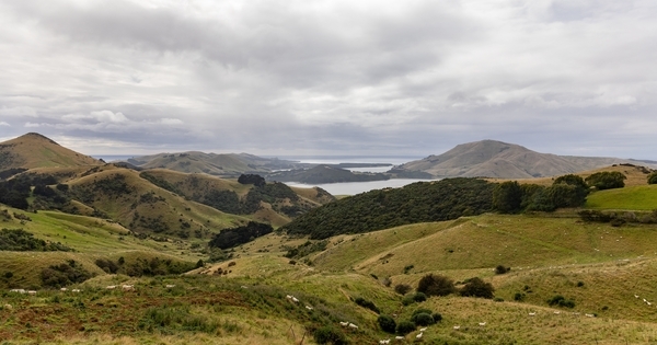 American Lithium Minerals acquires New Zealand antimony projects